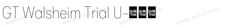 GT Walsheim Trial U字体转换